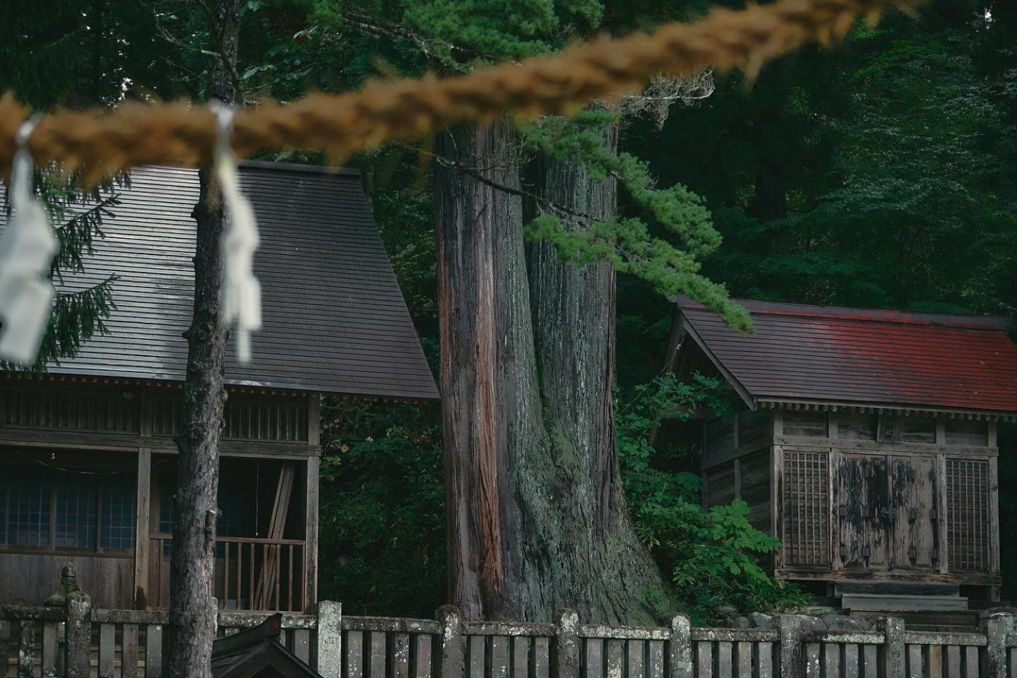 ロッジ　やまじう 白馬村 エクステリア 写真